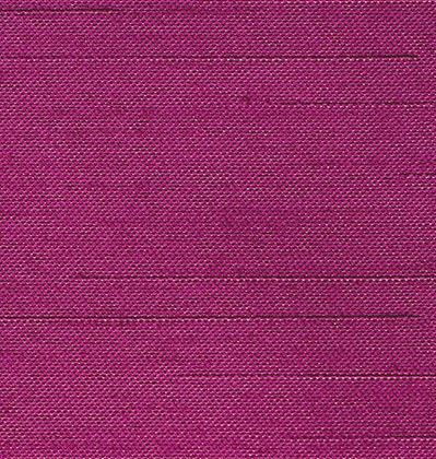 Fuchsia (161)