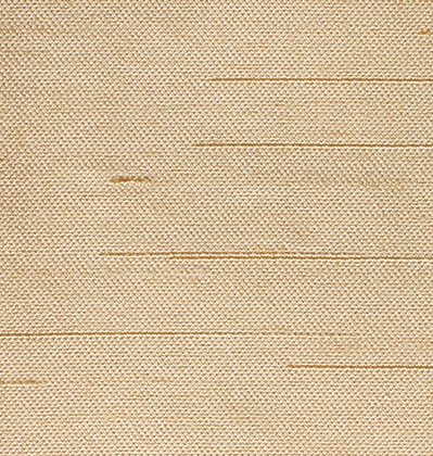 NEO GOLD (169)
CRAVAT | TIE | HANK